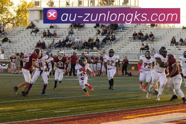 多媒体互动体验