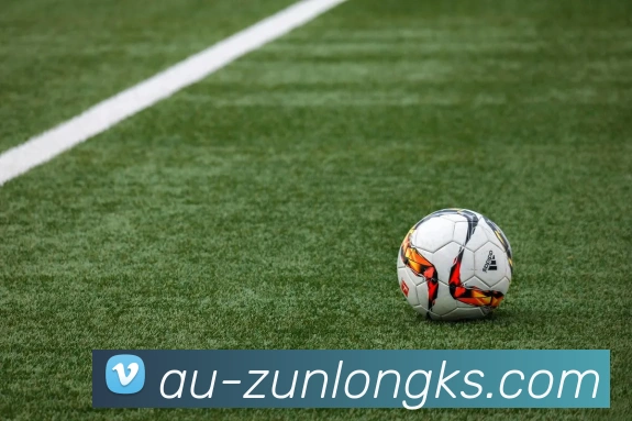 尊龙凯时官网APP 高清赛事图